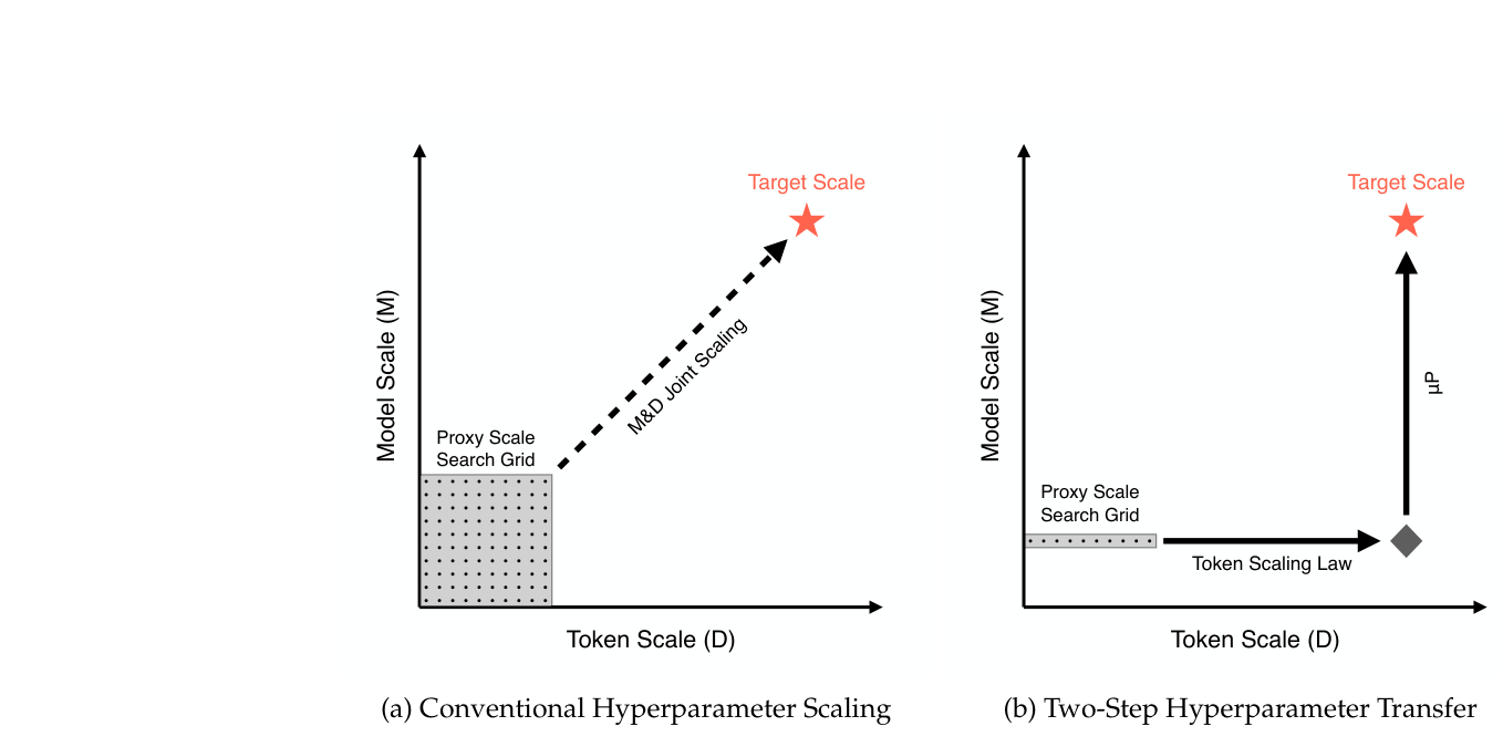 Figure 1: (a) In conventional hyperparameter optimization, exhaustive 2D sweeps across both model scale (M) and token scale (D) are required to jointly predict the target scale; (b) Our approach decouples the two dimensions.